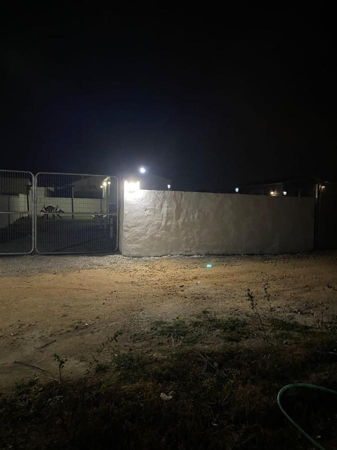 La Gobita Hotell Conil De La Frontera Exteriör bild